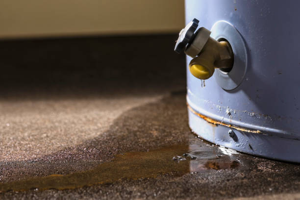 Best Water damage cleanup near me  in Riverside, NY