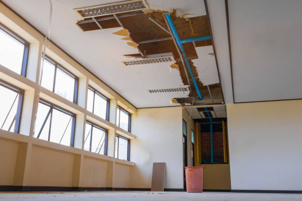Best Water damage cleanup near me  in Riverside, NY
