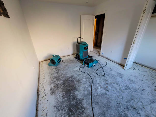 Best Carpet water damage restoration  in Riverside, NY