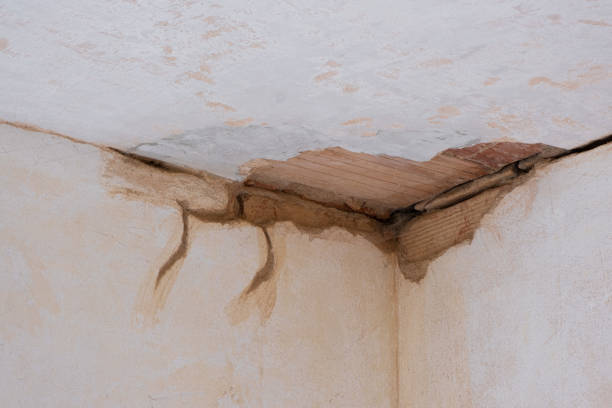 Best Flood restoration services  in Riverside, NY