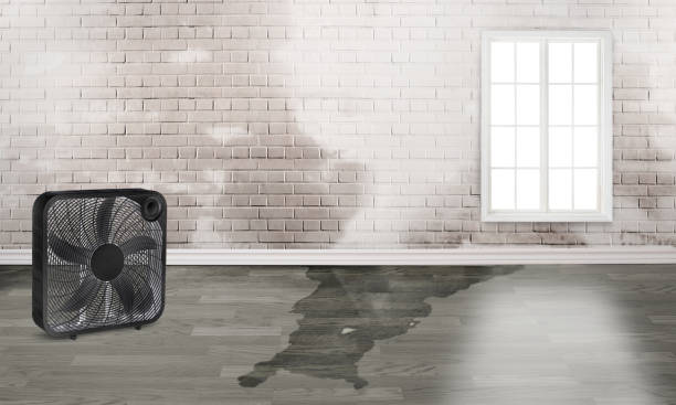 Best Local water damage restoration  in Riverside, NY