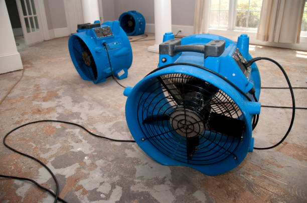 Best Basement water damage restoration  in Riverside, NY