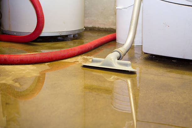 Best Water damage restoration near me  in Riverside, NY