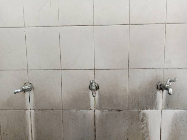 Best Water damage contractors near me  in Riverside, NY