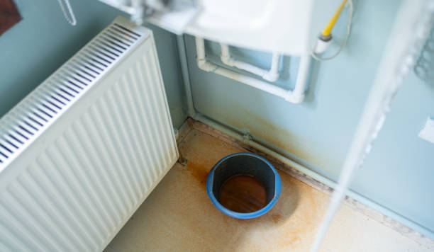 Best Mold removal after water damage  in Riverside, NY