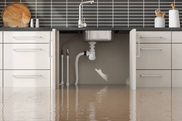 Best Basement water damage restoration  in Riverside, NY