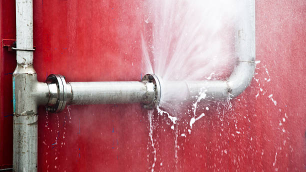 Best Water damage restoration near me  in Riverside, NY